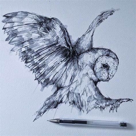 Flying Owl Sketch at PaintingValley.com | Explore collection of Flying ...