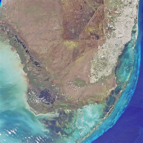 Changes in Everglades National Park in the past 30 years • Earth.com