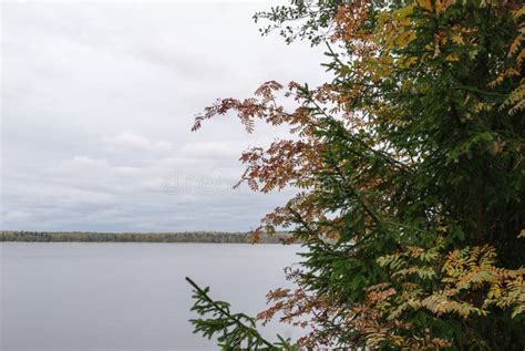 Overcast Autumn Day on the Lake. Natural Autumn Landscape. Stock Image - Image of clear, light ...