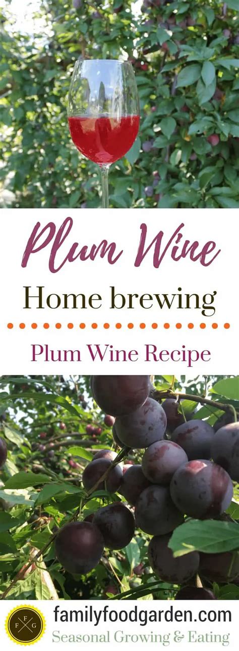 Plum Wine Recipe | Family Food Garden