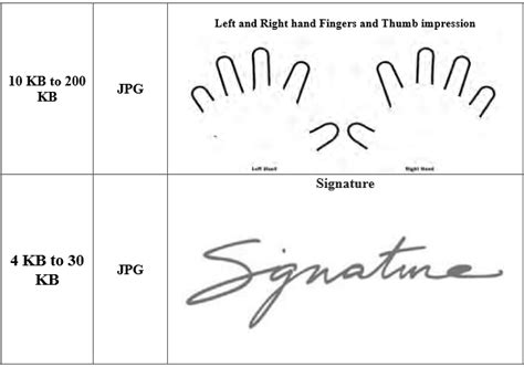 Neet 2023 Application Form Photo Size - Printable Forms Free Online