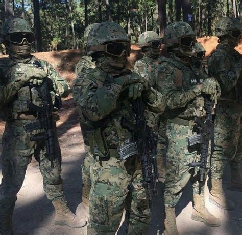 Mexican Marines | Marina armada de mexico, Infanteria de marina, Armada ...