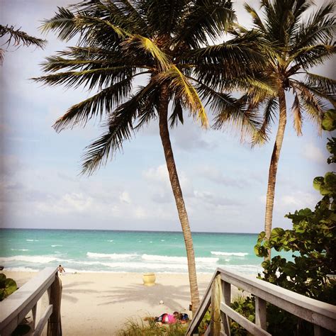 Dania Beach, Florida | Dania beach florida, Hollywood beach, Dania beach