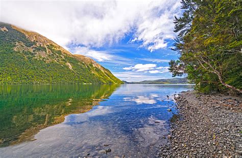 Best Nelson Lakes National Park Stock Photos, Pictures & Royalty-Free Images - iStock