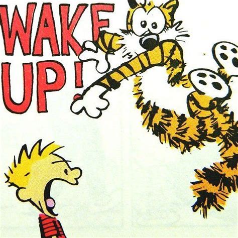 Happy Monday! | Calvin and hobbes, Calvin and hobbes comics, Calvin y hobbes