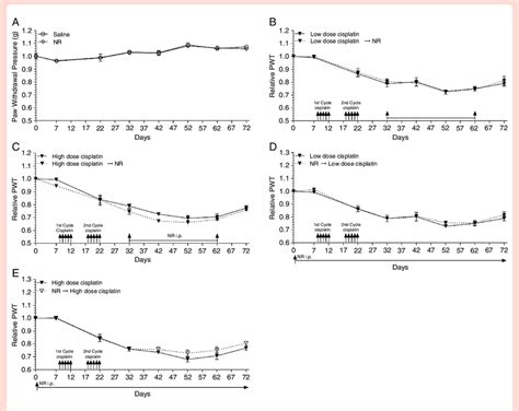 CIPN treatment and prevention by NR is dependent on SIRT2. (A) Response ...