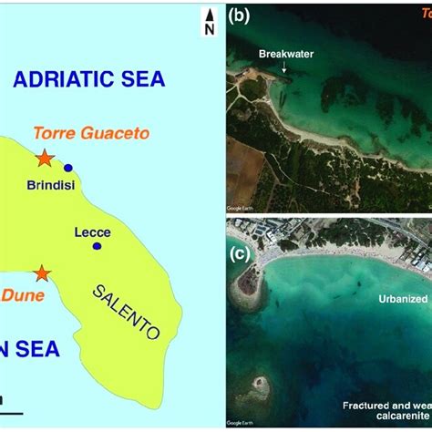 Coastal features of Torre Guaceto and Le Dune beach. (a) Geographical... | Download Scientific ...