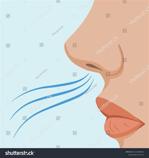 Human Nose Mouth Side Breathing Fresh Stock Vector (Royalty Free ...