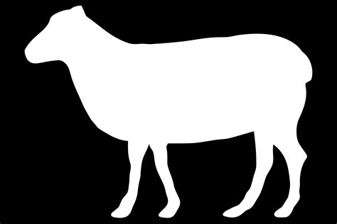 Sheep White Silhouette Free Stock Photo - Public Domain Pictures