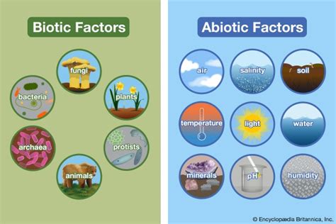 Biotic & Abiotic Factors | 2.6K plays | Quizizz