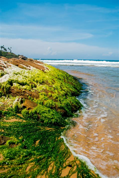 Kovalam beach in Kerala - PixaHive