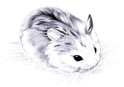 Just Too Cute by aconite-pawlove on deviantART | Animal drawings, Cute animal drawings, Animal ...