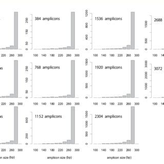 Distribution of amplicon size on each panel. | Download Scientific Diagram