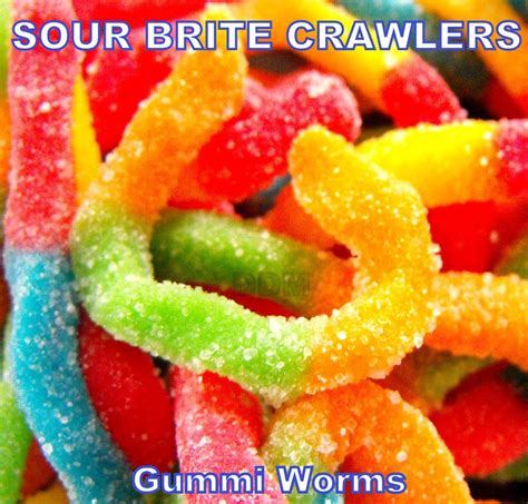 TROLLI SOUR WORMS 20 LBs Gummies Chewy Retro Gourmet Bulk Gummi Soft ...