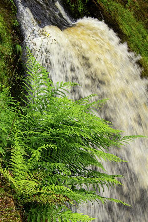 Waterfall in Triberg Photograph by Andre De Wit - Fine Art America