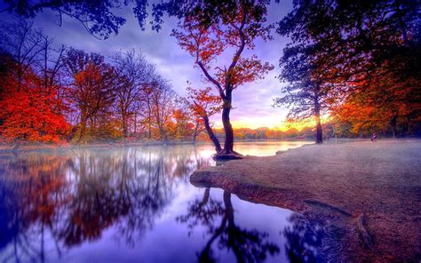 Nature, Trees, Autumn, Lake, Silence HD wallpaper | Pxfuel