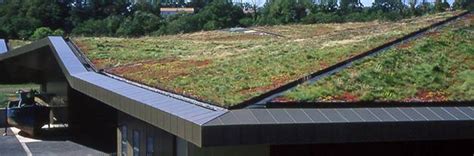 Extensive Green Roofs: The Essential Guide - Land8