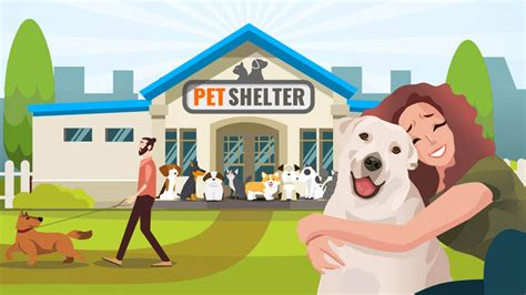 What You Can Do To Help The Pet Shelters - Infographic