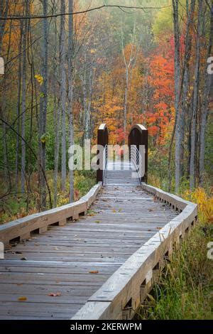 The hiking trails into the Saint Peters Dome recreational area in the ...