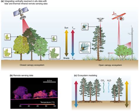 LiDAR and thermal remote sensing data can be used to measure vertical... | Download Scientific ...