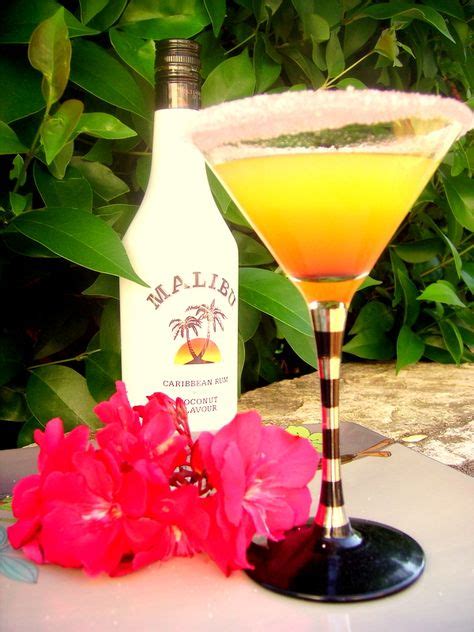 55 Malibu Cocktails ideas | malibu cocktails, cocktails, malibu rum