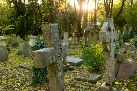 Explore more of London's famous Highgate Cemetery without a guide