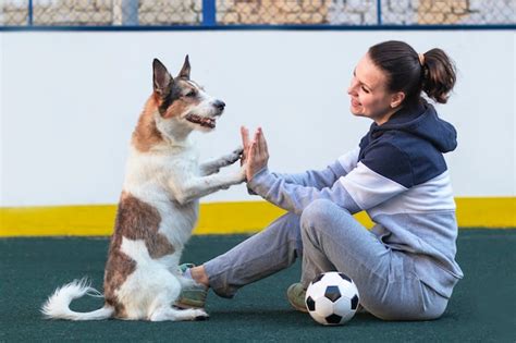 Premium Photo | Dog gives five to owner while playing