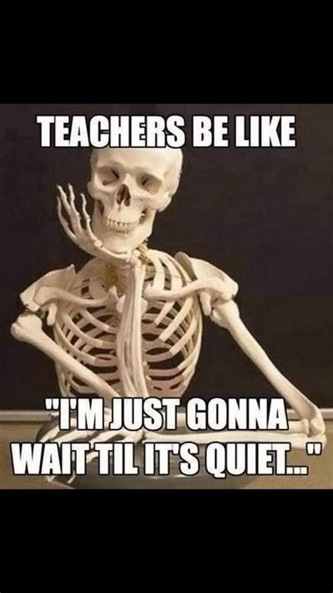 67 Funny Teacher Memes That Are Even Funnier If You're a Teacher! Teacher Humour, Teacher Quotes ...