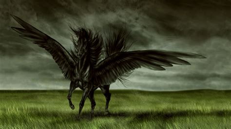 Dark Fantasy Pegasus in a Field – HD Wallpaper