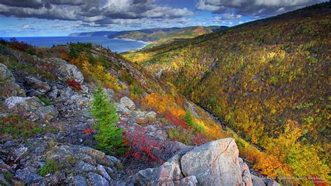 HD wallpaper: Cape Breton Highlands in Autumn, Nova Scotia, Fall | Wallpaper Flare