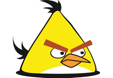 Yellow Angry Bird Vector