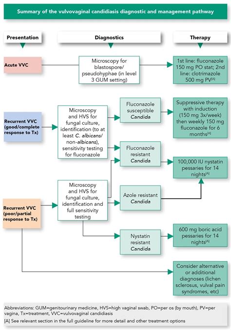 Vulvovaginal Candidiasis: Management