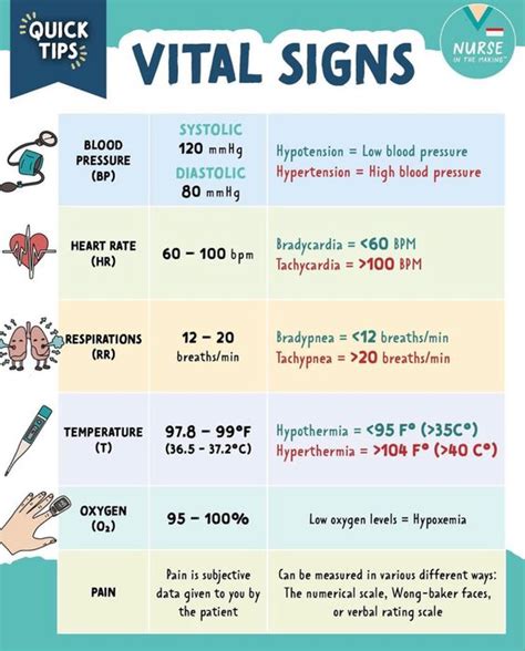 The Vital Signs Of The Human Body: What They Mean & Why You Should Know | Daily Infographic