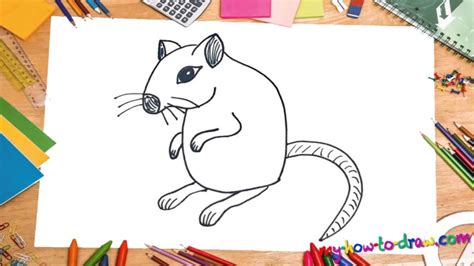 Cute Gerbil Drawing