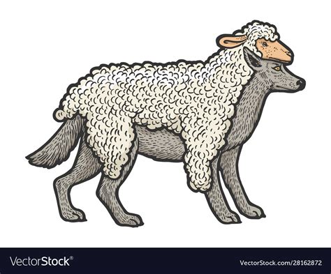 Wolf in sheeps clothing sketch Royalty Free Vector Image