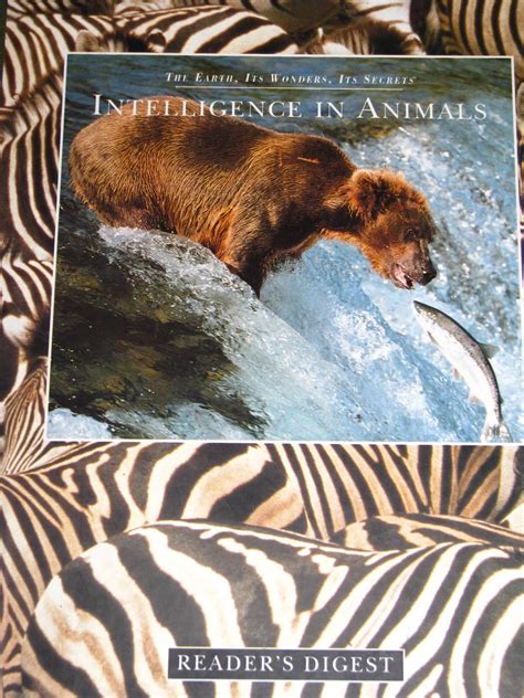 My World: Animal Intelligence: a myth???