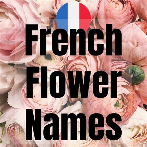 French Flowers Names