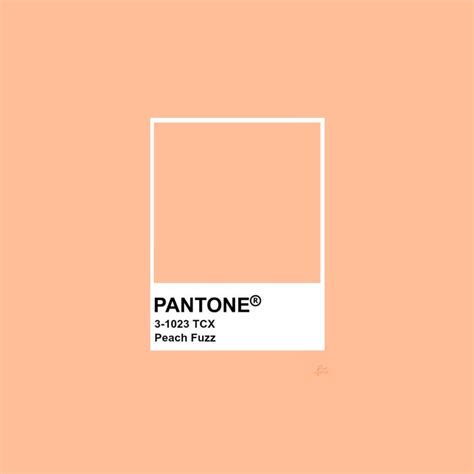 pantone peach fuzz | Peach fuzz, Peach colors, Pantone