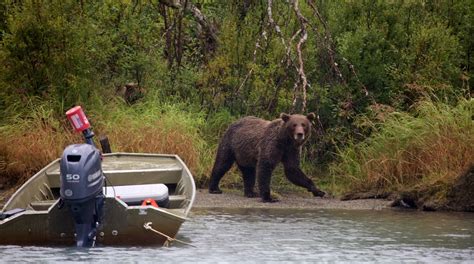 Lake Clark National Park Tours - Book Now | Expedia