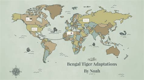 Bengal Tiger Adaptations by noah rice on Prezi