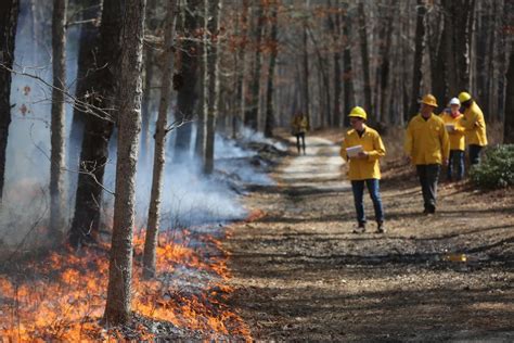 Even a record wet year in NJ won't extinguish forest fire threat ...