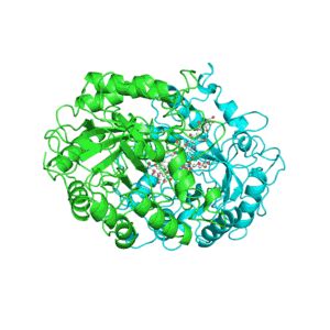 Protein Synthesis Animation Gifs at Best Animations