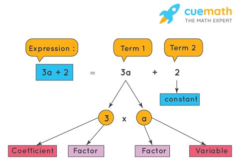 Expression- Term, Factor, Coefficient :Definition and examples - Cuemath