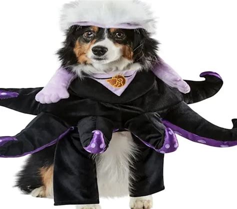 14 fa-boo-lous dog costumes for Halloween - Get Savvy with Social