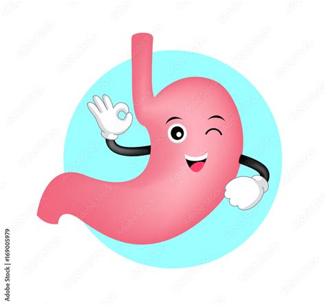 cute cartoon stomach showing OK hand sign. Funny internal organ ...