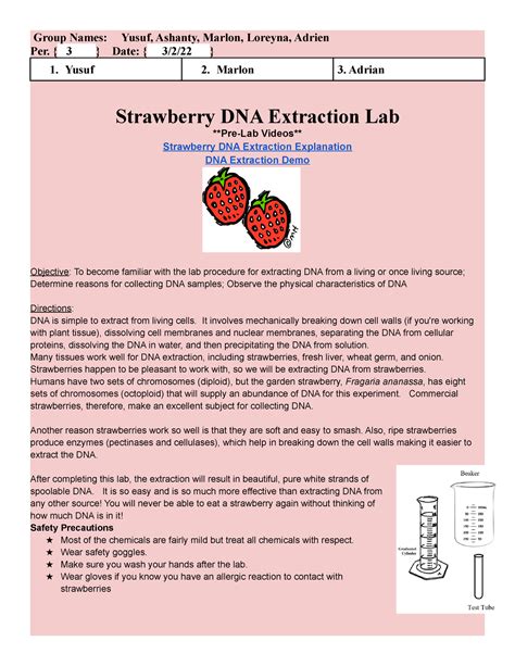 Dna Extraction Strawberry Lab Answer Key - www.inf-inet.com
