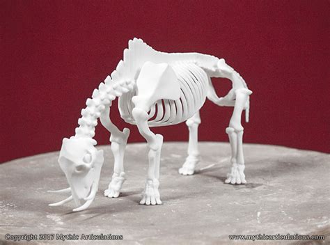 Catoblepas Skeleton - Mythic Articulations