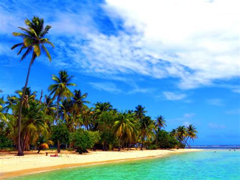 Top 10 des plus belles Plages de Guadeloupe (+ Carte et Photos)