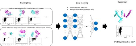 Schematic diagram of protein interaction prediction using interaction ...