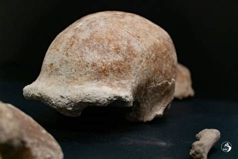 Neanderthal remains discovered in cave south of Rome - Wanted in Rome